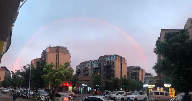 台风鹦鹉动态更新，共迎风雨后的彩虹时刻