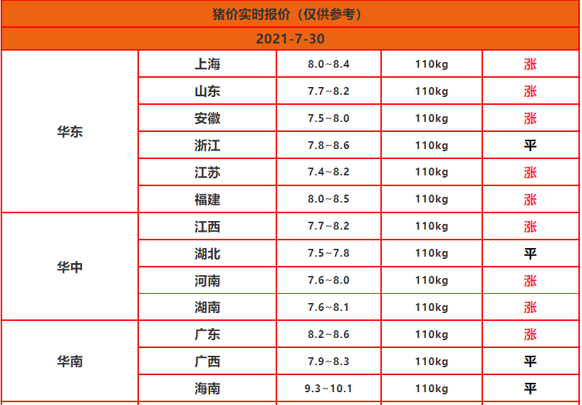 重庆猪价迎新升，明日行情看涨喜讯传