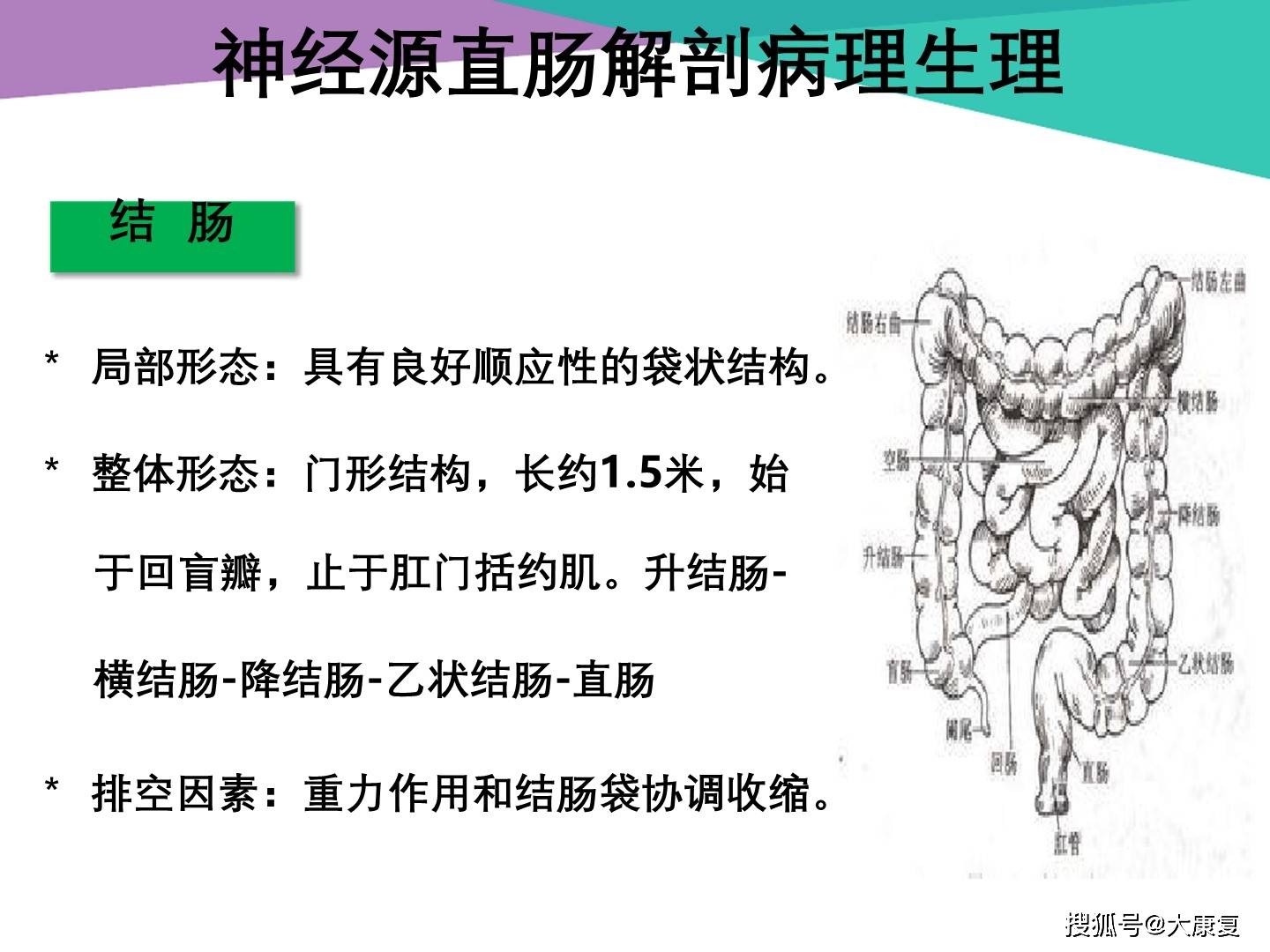 干细胞技术助力脊髓损伤康复，喜讯频传！