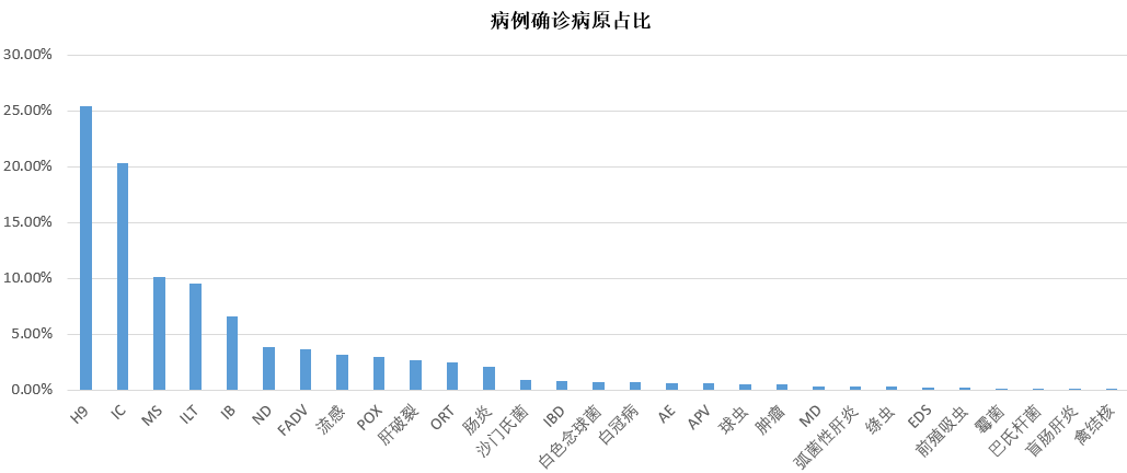 最新禽流感动态解读