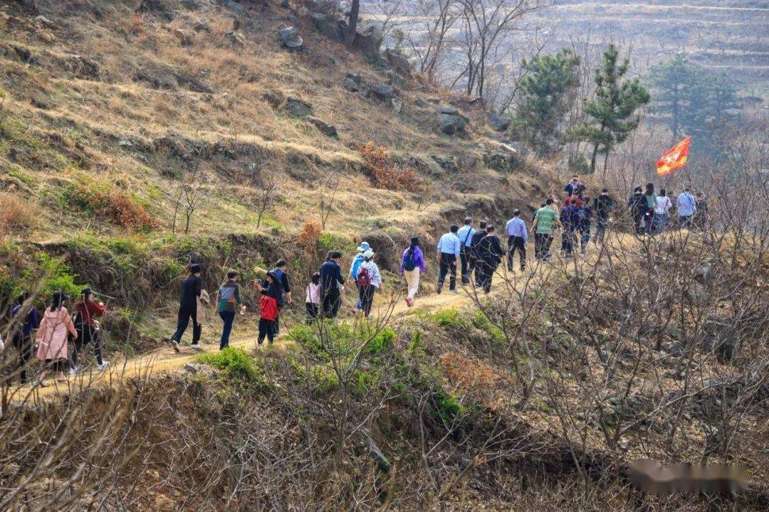 费县人民医院最新招聘动态一览