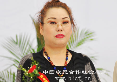 洛阳郭兰芳女士近期资讯汇总