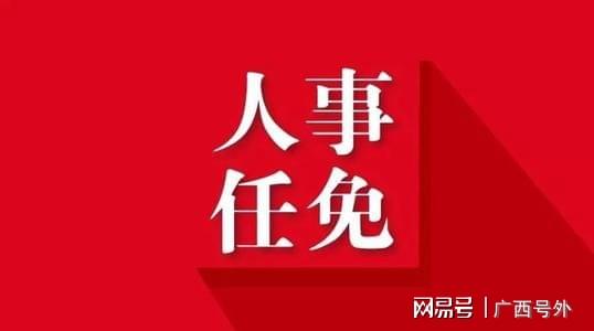 广西最新人事动态：高层任免信息全解析